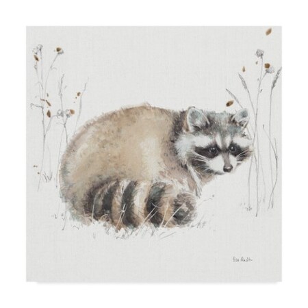 Trademark Fine Art Lisa Audit 'Woodland Walk X Raccoon' Canvas Art, 14x14 WAP04061-C1414GG